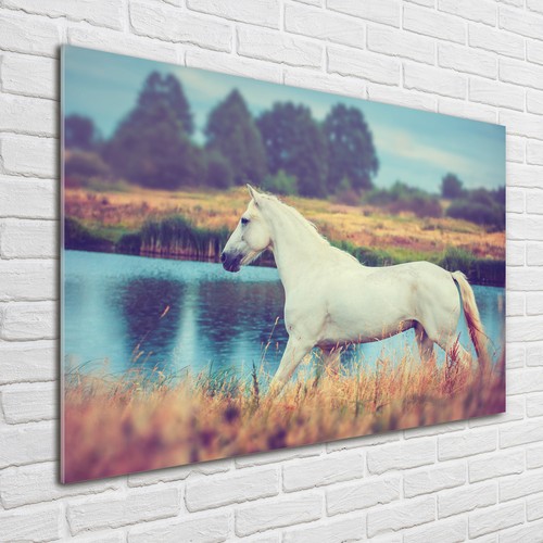 Glas bild wandbilder druck - glas-bild, auf