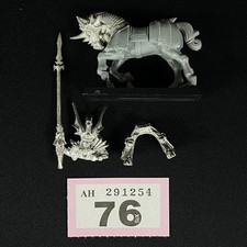 Hoch Elfen Drachen Prinz Von