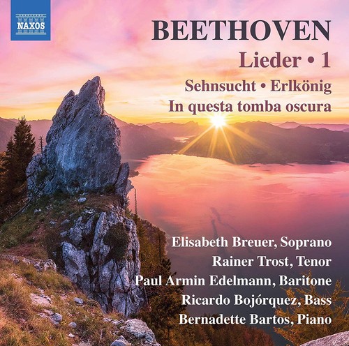 Ludwig van beethoven - ludwig,
