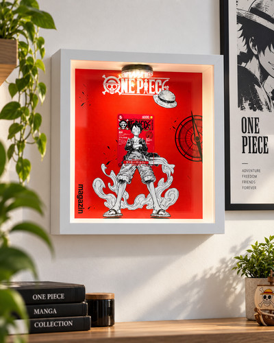 One piece monkey - one,