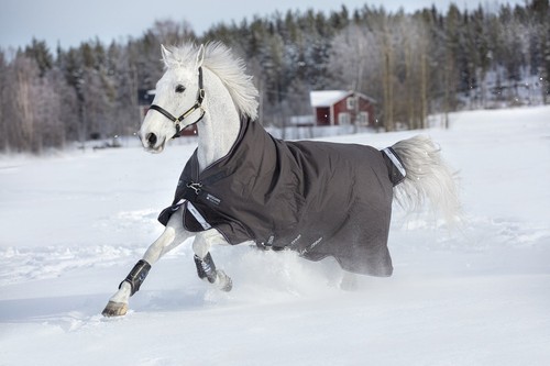 Outdoordecke horseware amigo - outdoordecke,