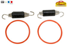 Dichtungssatz / Auspufffedern