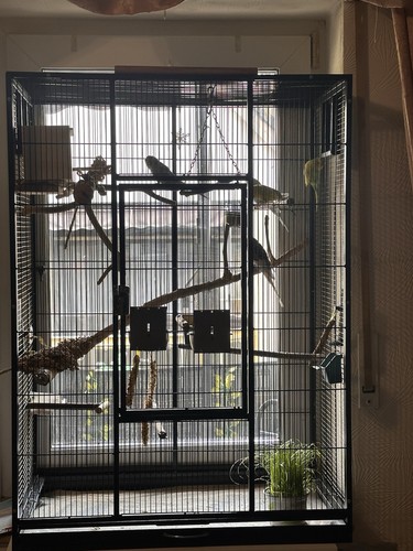 Großer vogelkäfig schwarz - großer,