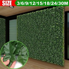 3-30m Sichtschutzhecke Efeu