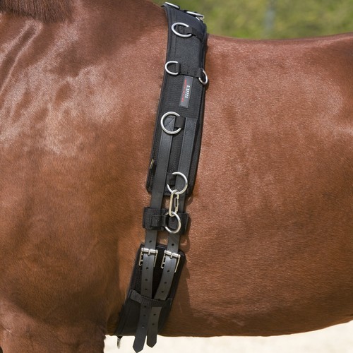 Kieffer longiergurt schwarz - kieffer,