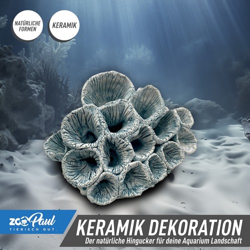 Aquarium keramik korallen - 🌊,