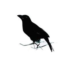 Deko Figur Rabe, 15 cm, mit