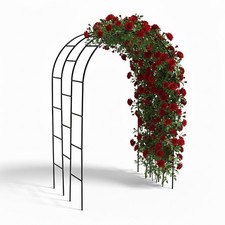 Rosenbogen Rankbogen