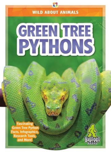 Green tree pythons renata - green,