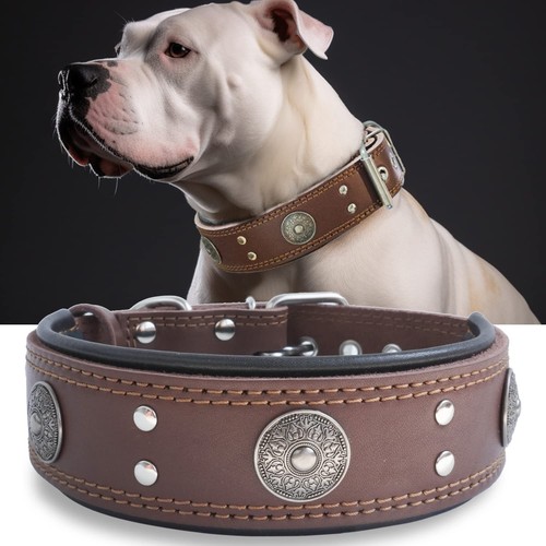 Hundehalsband leder - hundehalsband,