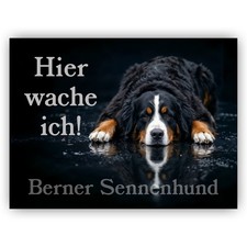 Berner Sennenhund Warnschild