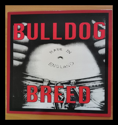 Bulldog breed made - bulldog, breed–made