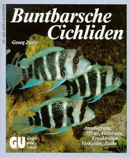 Buntbarsche /Cichliden. Anschaffung, Pflege, Fütterung, Krankheiten, Verhalten,
