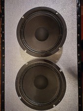 2x Marshall 10" Lautsprecher