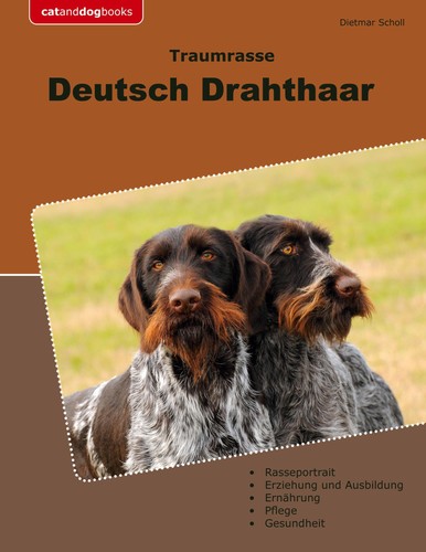Traumrasse deutsch drahthaar - traumrasse,