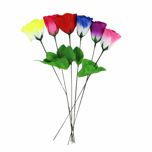 Stück große rosen - stück,