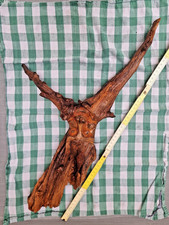 Wurzelgeist, Unikat, Skulptur