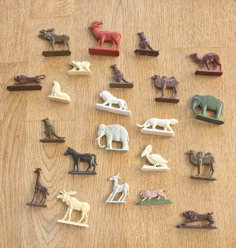 Flachtiere zoo teile hart - flachtiere,