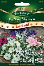 Balkonblumen stehende Mischung Saatband Samen von Quedlinburger Saatgut