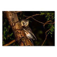 Postereck 3361 Poster Leinwand