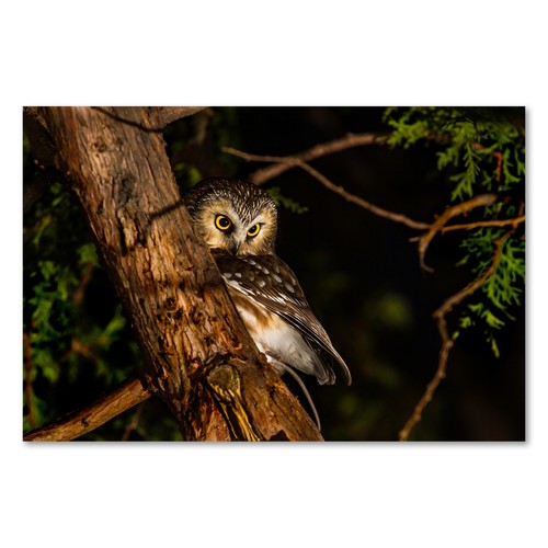 Postereck 3361 poster - 3361, leinwand