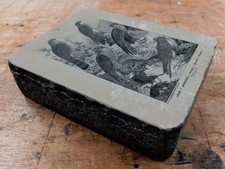 Lithographiestein Vögel Raubvögel Greifvögel um 1900