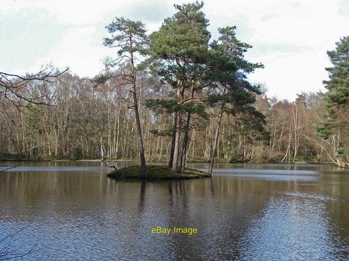 Foto 12x8 heideteich simons - 12x8,