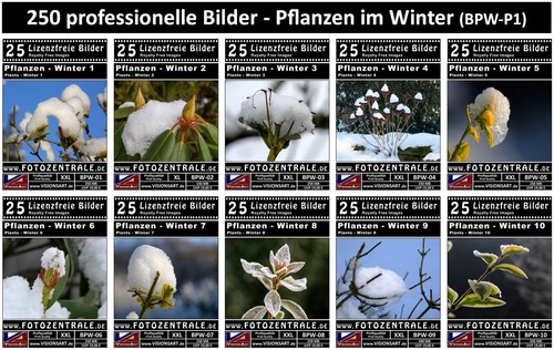 250 lizenzfreie profi bilder - lizenzfreie, profi-bilder