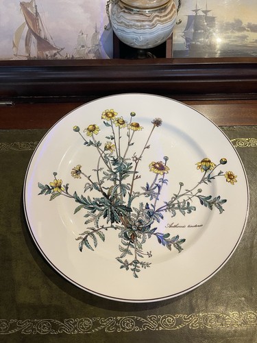 Villeroy boch botanica - &,