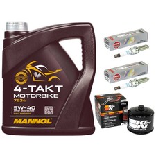 Inspektion Öl 4L Set