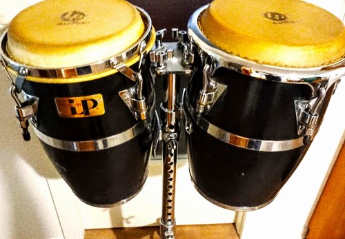 Latin percussion - percussion, lp