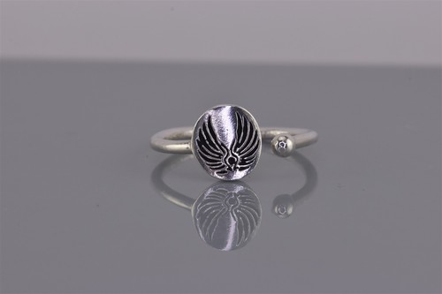 Alex und ani sterling silber - und,