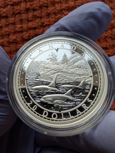 Dollar canada wondrous - -,