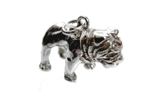 Englische bulldogge hund - englische,