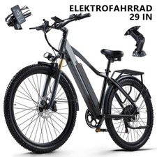 ebike 29 Zoll Elektrofahrrad