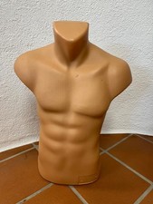 Torso männlich