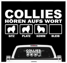 Collie Langhaar  Hört aufs