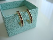 Pierre Lang Ohrringe GO