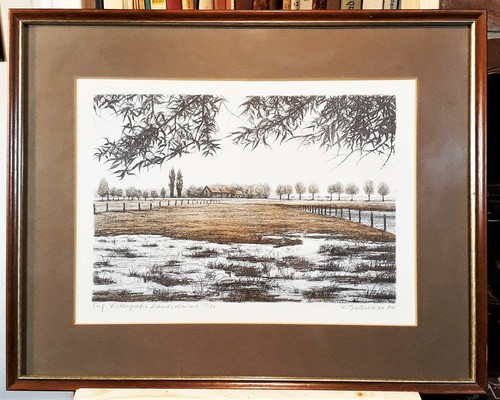 Handkolorierte lithographie - handkolorierte,