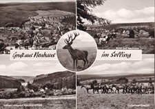 AK - (D) - Neuhaus -