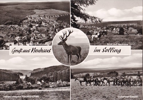 Neuhaus - ak,