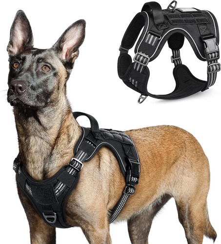 Rabbitgoo hundegeschirr - hundegeschirr, l
