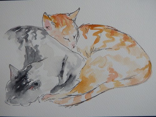 Katze katzen aquarell gemälde - katze,