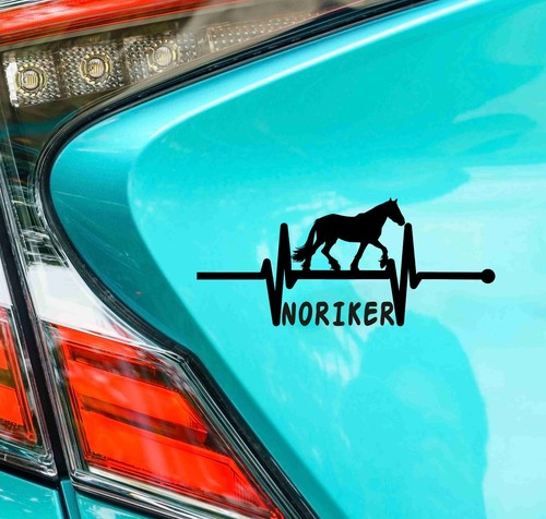 Ekg noriker autoaufkleber - ekg,