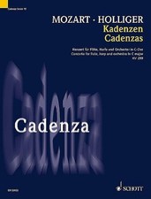 Kadenzen: zum Konzert für