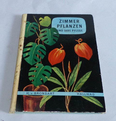 Zimmerpflanzen und ihre - , pflege