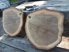 Baumscheibe XXL Eiche ~40× 5