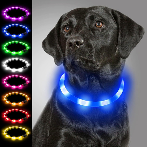 Joytale leuchthalsband hund - joytale,
