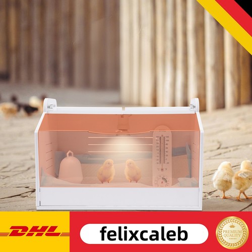 Küken aufzucht box - küken,