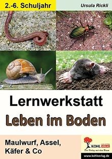 Lernwerkstatt leben boden - lernwerkstatt,